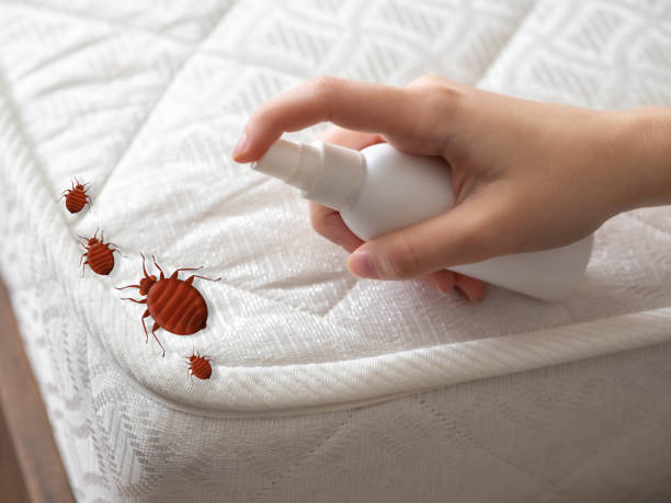 Best Insect Control  in Sonoma State University, CA